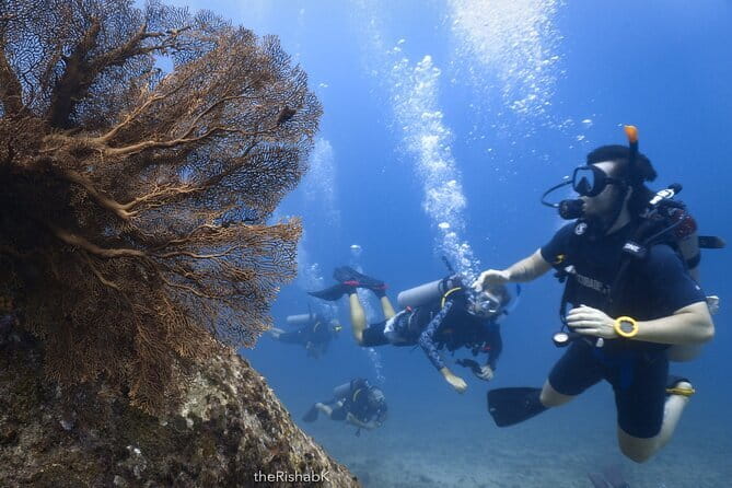 Phuket Scuba Diving Phi Phi Islands (Certified Divers Only) - Equipment, meals, and the small touches