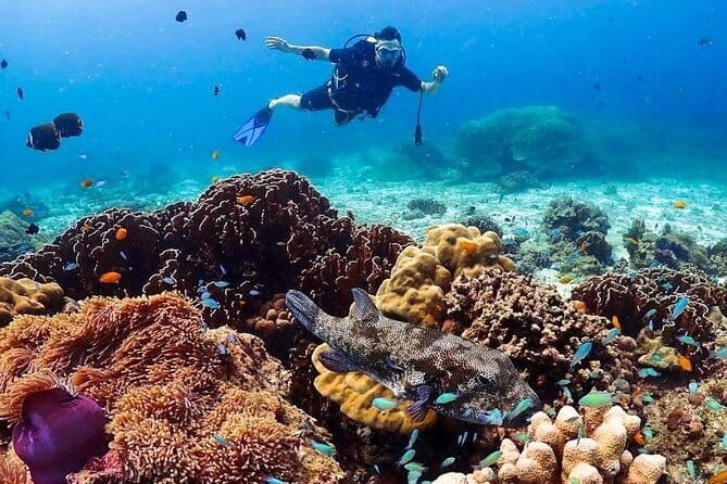 Phuket Scuba Diving Phi Phi Islands (Certified Divers Only) - Booking details that matter