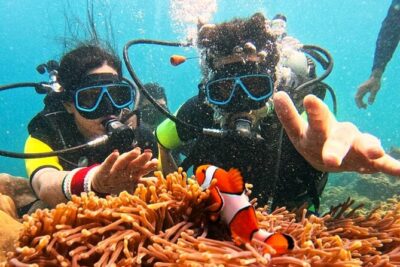 Phuket Scuba Diving: Racha Island Or Maiton Island For All Levels