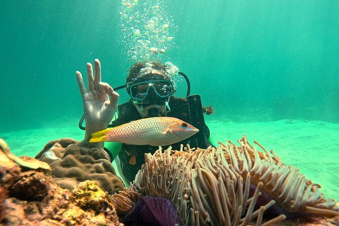 Phuket Scuba Diving: Racha Island Or Maiton Island For All Levels - Beginner training without swimming skills