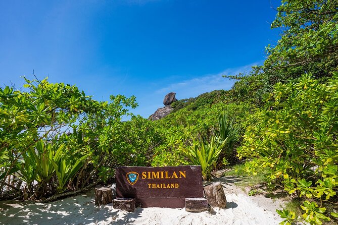 Phuket to Similan Islands Snorkeling Tour - A 6:00 am pickup and a long road to the pier