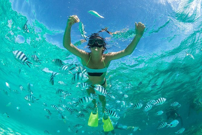 Phuket Two Islands Trip to Coral & Raya Island by Speed Boat - Raya Island is the main reason to book