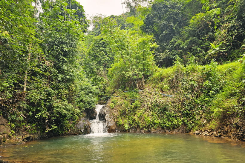 Phuket: White Water Rafting, ATV, and Zipline Adventure - Lunch in Song Phraek: useful fuel, simple standards