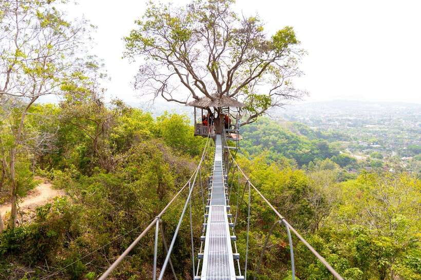 Phuket: Zipline Flying Higher than a Hawk with ATV Option - The zipline ride: height, speed, and tropical views