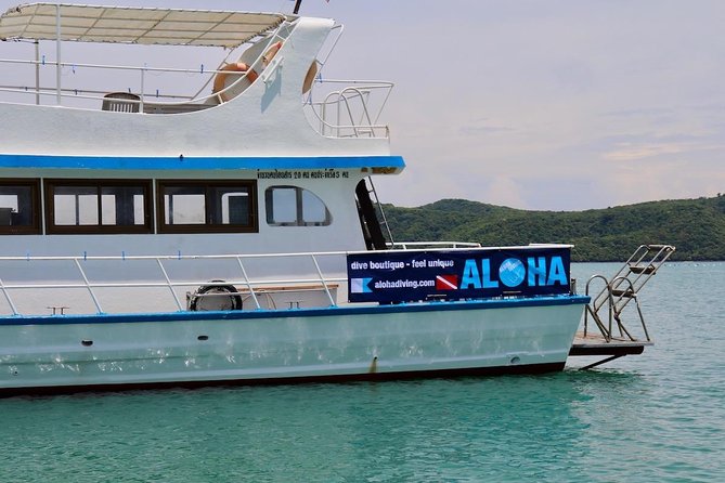 Premium Guided Scuba Diving Day Trip for Certified Divers - Who will enjoy this Phuket scuba day?