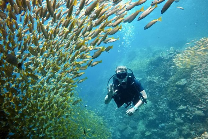 Premium Guided Scuba Diving Day Trip for Certified Divers - What the flexible schedule means for your day
