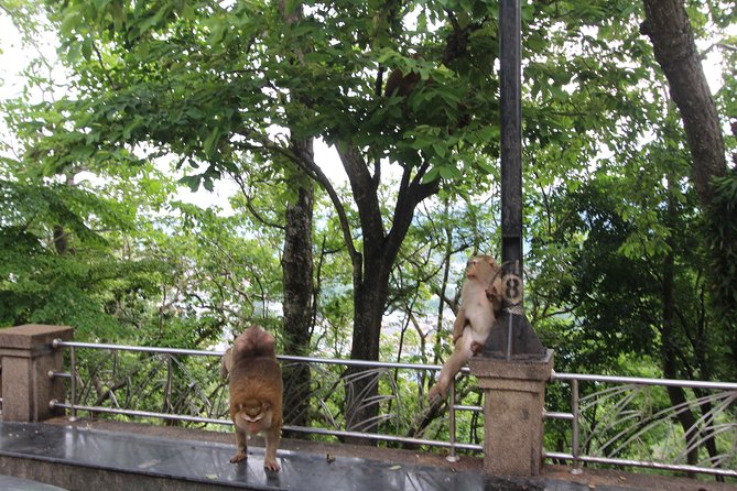 Private food Tour + Sightseeing +Thai Cooking class - Woody and Danny set the tone