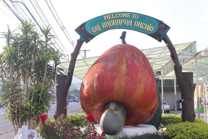Private local city tour with english speaking driver - Monkey Hill and the short viewpoint stop
