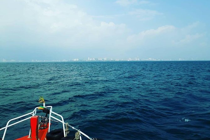 Racha & Coral Island Day Trip by Speedboat - Lunch Included - Is $38 a good price?
