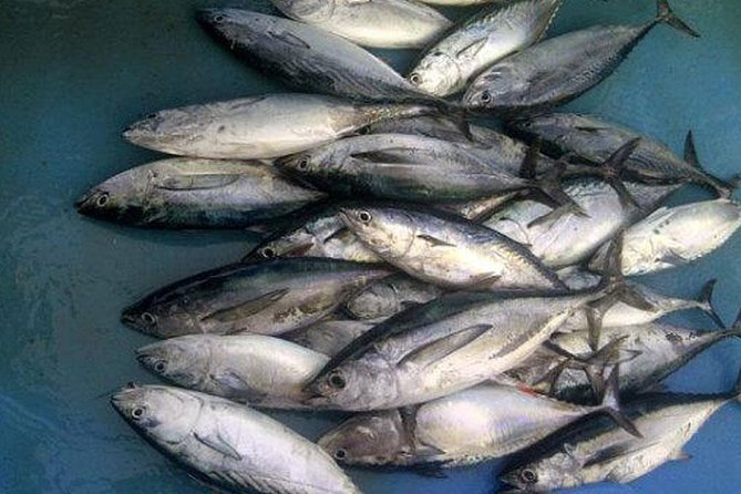 Racha Island Game Fishing & Trolling From Phuket - Comfort aboard a small fishing boat