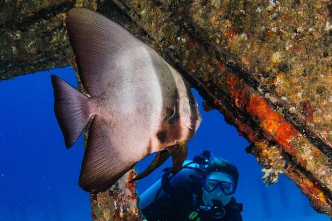 Racha Noi and Racha Yai Dive Trip from Phuket - Food, equipment, and what the price really covers