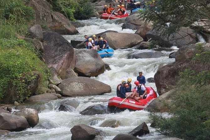 Rafting 5 km, ATV 30 Mins, Fly Fox and Jungle Tour From Phuket - A long Phuket day with a real adventure focus