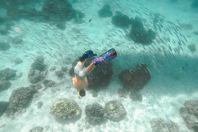 Raya Island / Mai Ton Island Private Boat Tour - Rang Yai: a slower finish on shore