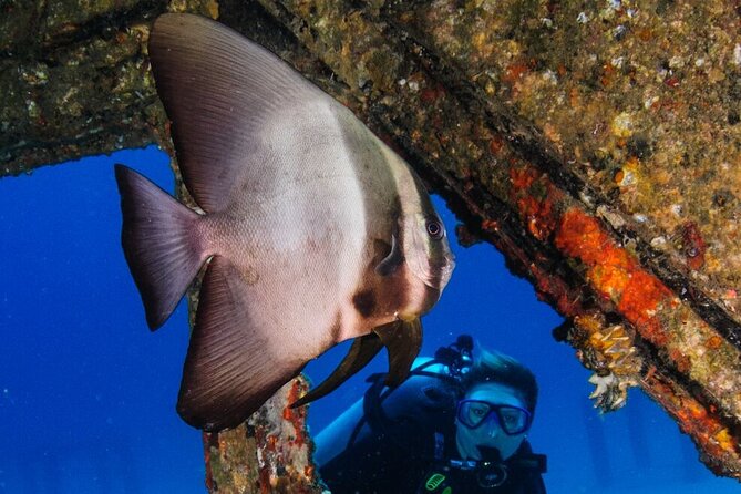 Refresher scuba diving trip, 3 dives at Racha Noi and Racha Yai - The early start from Chalong Pier
