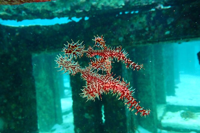 Scuba Diving Daytrip to Racha Yai - Boat comfort and group size
