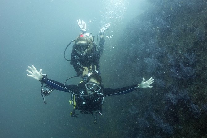Scuba Diving in Phuket – Full-Day Trip (3 Dives, All Included) - What food, gear, and photos are worth