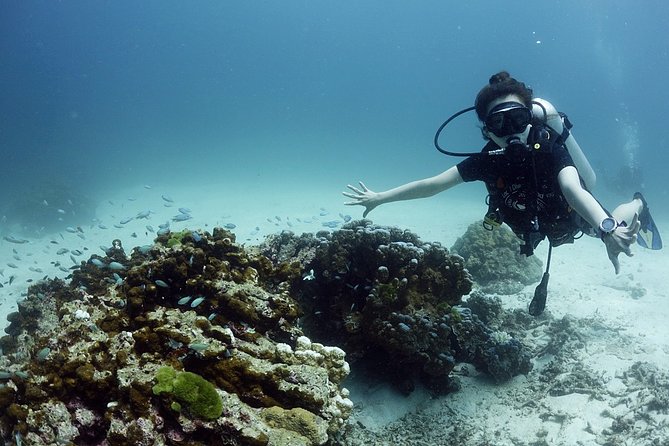 Scuba Diving in Phuket – Full-Day Trip (3 Dives, All Included) - Who will get the most from this trip