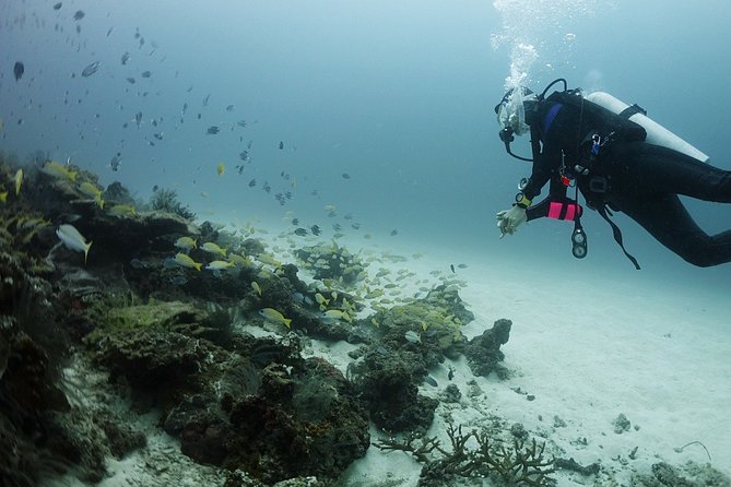 Scuba Diving in Phuket – Full-Day Trip (3 Dives, All Included) - Practical details that affect the decision