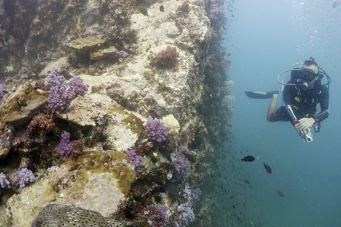 Scuba Diving in Phuket – Full-Day Trip (3 Dives, All Included) - What the first hours on the boat are like