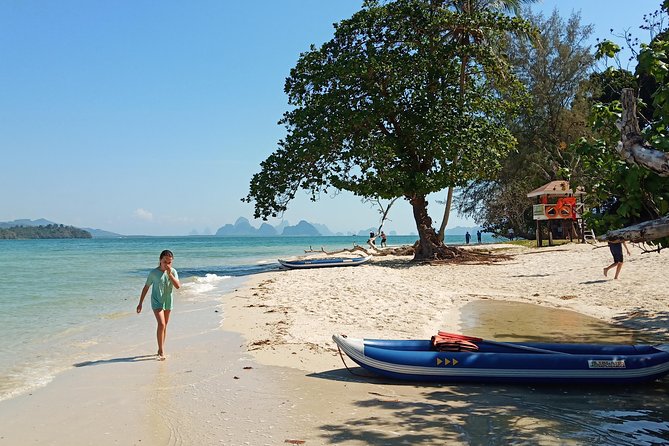 Secrets Of Phang Nga Bay Boat Tour From Phuket By Phuket Sail Tours - Mangrove forest by boat