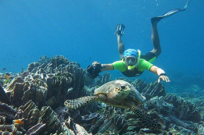Similan Islands Day Trip by Speedboat From Phuket - The speedboat and group size matter more than the brochure suggests