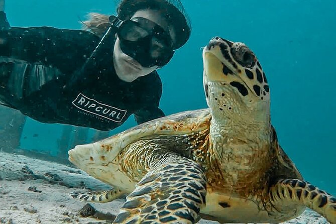 Similan Islands Private Tour - Starting at 5 Star Marine