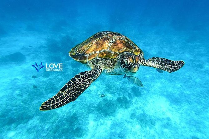 Similan Islands Snorkeling Day Trip By Love Andaman From Phuket - Starting at Tablamu with warm bread and coffee
