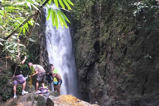Small-Group Jungle Hiking Excursion in Khao Phra Teaw Park - Key points to know before you book