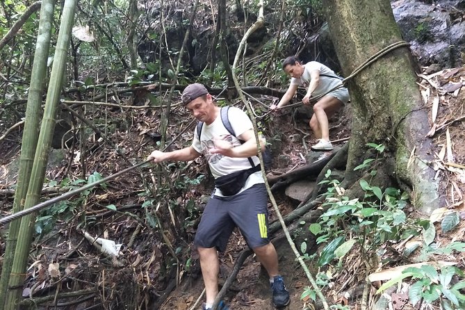 Small-Group Jungle Hiking Excursion in Khao Phra Teaw Park - Leaving Phuket’s beaches for Khao Phra Teaw