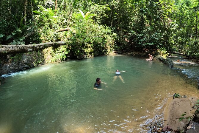Small-Group Jungle Hiking Excursion in Khao Phra Teaw Park - Waterfalls, streams, and a needed swim
