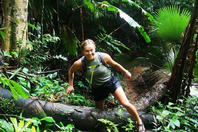 Small-Group Jungle Hiking Excursion in Khao Phra Teaw Park - Thai lunch after the hike