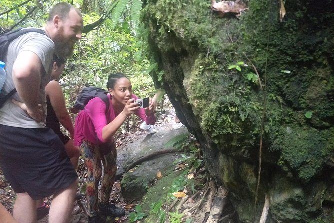 Small-Group Jungle Hiking Excursion in Khao Phra Teaw Park - Fitness, footwear, and the heat