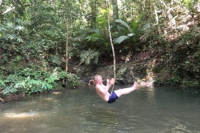 Small-Group Jungle Hiking Excursion in Khao Phra Teaw Park - Group size, guides, and the pace