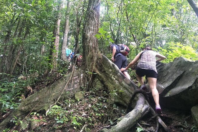 Small-Group Jungle Hiking Excursion in Khao Phra Teaw Park - Ton Sai Waterfall and the first jungle miles