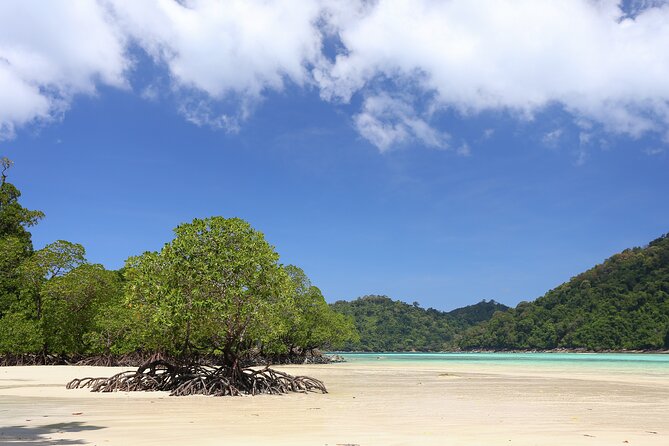 Surin Islands 2 Days 1 Night Trip from Phuket - Lunch, check-in, and the practical side of island life