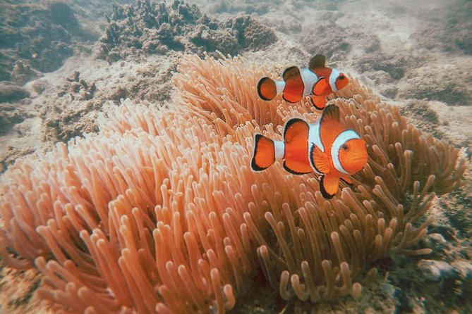Surin Islands Snorkel Tour by SeaStar Andaman from Phuket - The Moken Village Visit