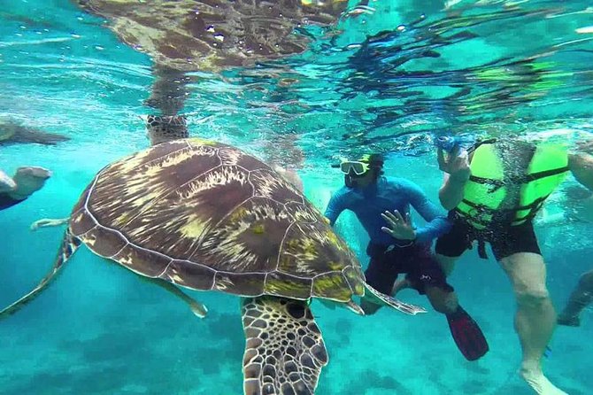 Surin Islands Snorkeling Trip from Phuket - Why the Surin Islands are worth the long day