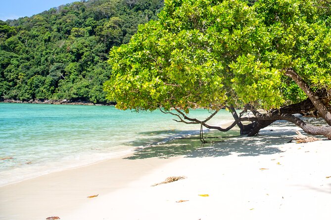 Surin Islands Snorkeling Trip from Phuket - Meeting the Moken community