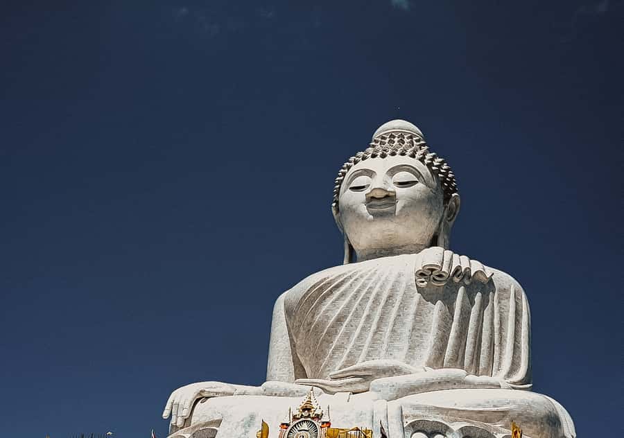 Temple and Jungle Trekking tour with Lunch at Farm-to-Table - Key points to know before booking
