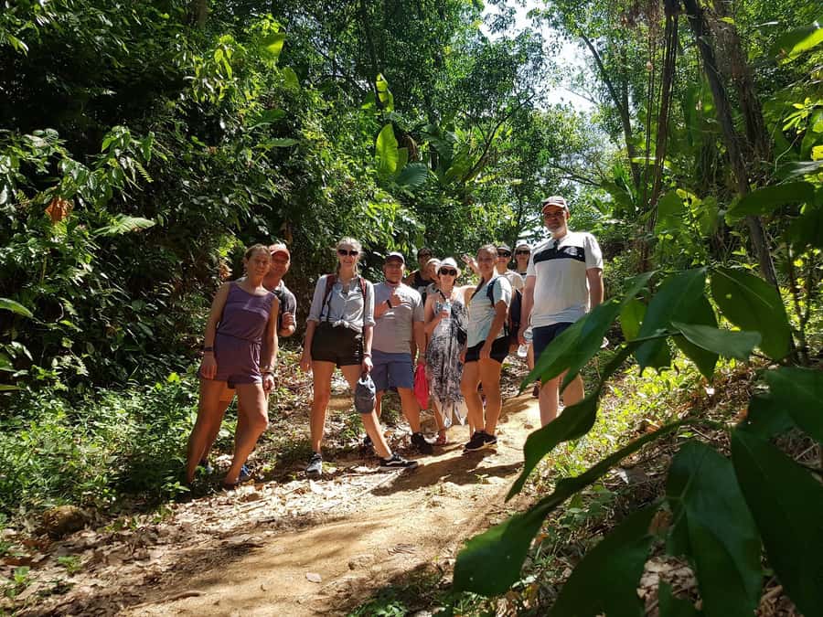 Temple and Jungle Trekking tour with Lunch at Farm-to-Table - Practical tips for a smoother day