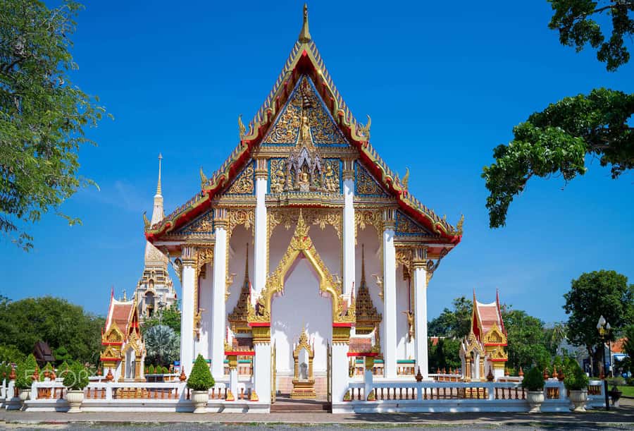 Temple and Jungle Trekking tour with Lunch at Farm-to-Table - Farm-to-table Thai lunch