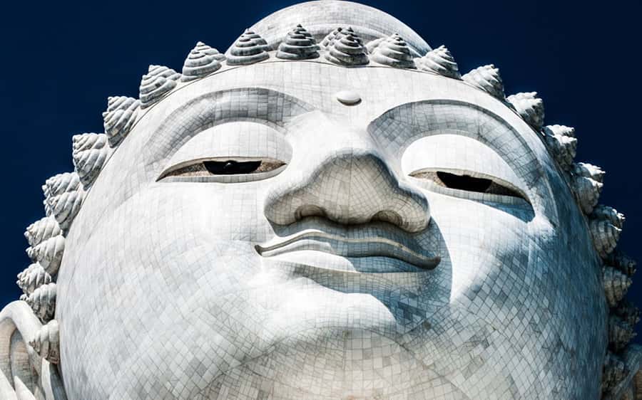 Temple and Jungle Trekking tour with Lunch at Farm-to-Table - Who will enjoy this Phuket tour