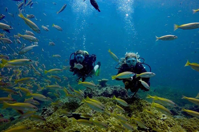 Try Scuba Diving - Learning the basics before entering the sea