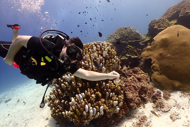Try Scuba Diving in Racha Yai and Noi for Non-Certified - What this Phuket scuba day really offers
