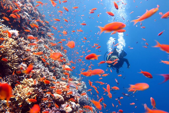 Try Scuba Diving in Racha Yai and Noi for Non-Certified - Food and comfort aboard the boat
