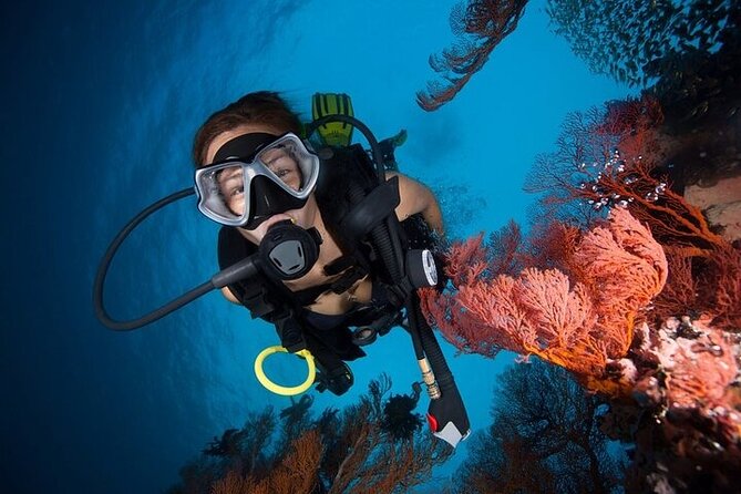 Try Scuba Diving in Racha Yai and Noi for Non-Certified - Is $174.95 a fair price?