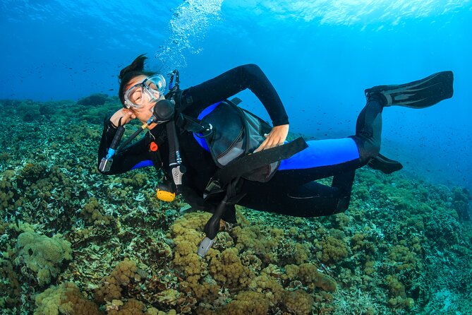 Try Scuba Diving in Racha Yai and Noi for Non-Certified - What the strongest parts of the experience are