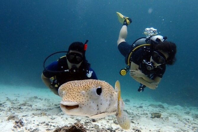 Try Scuba Diving in Racha Yai and Noi for Non-Certified - Racha Yai or Racha Noi: choosing the right expectation