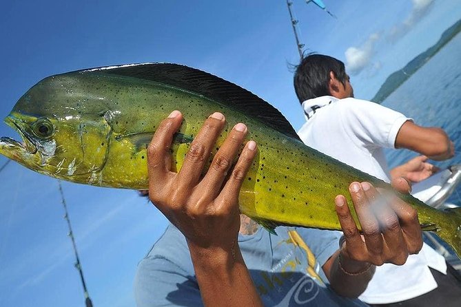 Ultimate Full-Day Big Game Fishing & Trolling Tour - Lunch, Drinks, and the Midday Break