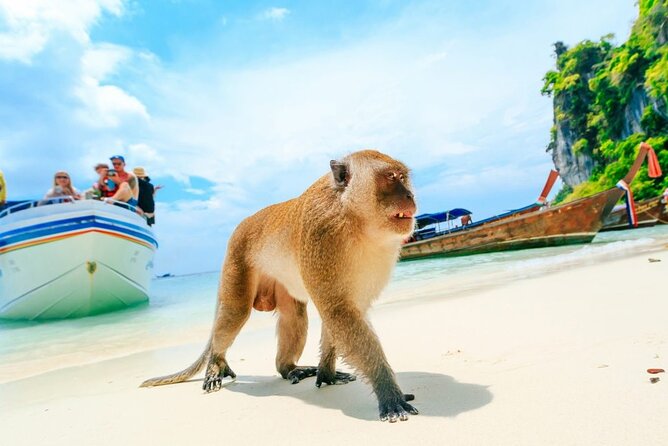 VIP Private Boat to Phi Phi Island: Snorkeling + Land Tour - Monkey Beach and Wang Long Beach